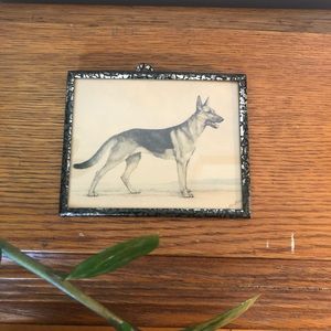 Framed Antique Print